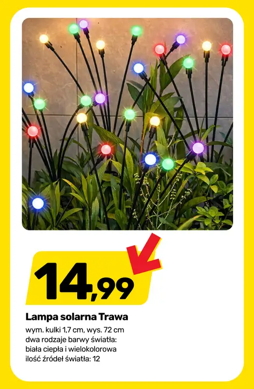 Bricomarche - gazetka promocyjna Roślinny vibe i kolory! od wtorku 28.04 do soboty 02.05 - strona 12