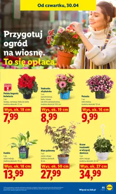 Lidl - gazetka promocyjna Od środy od środy 29.04 do soboty 02.05 - strona 97