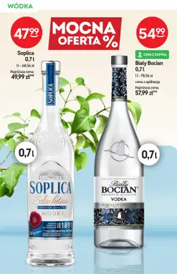 Żabka - gazetka promocyjna Katalog alkoholi od środy 29.04 do wtorku 12.05 - strona 10