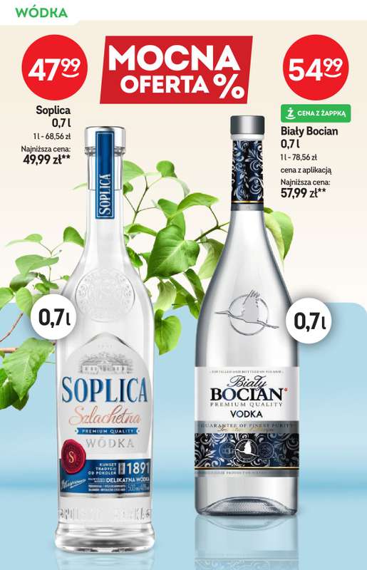 Żabka - gazetka promocyjna Katalog alkoholi od środy 29.04 do wtorku 12.05 - strona 10