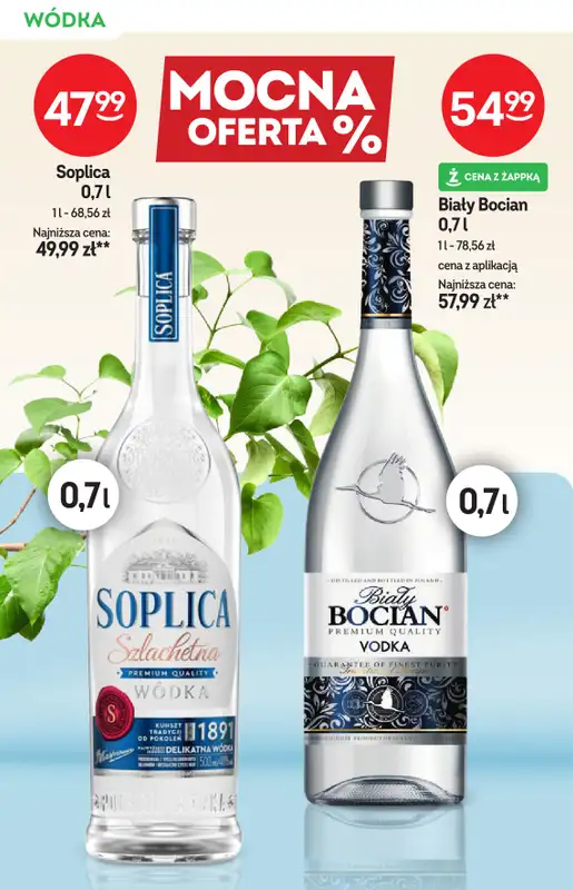 Żabka - gazetka promocyjna Katalog alkoholi od środy 29.04 do wtorku 12.05 - strona 10