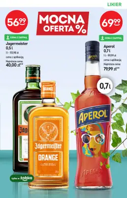 Żabka - gazetka promocyjna Katalog alkoholi od środy 29.04 do wtorku 12.05 - strona 17