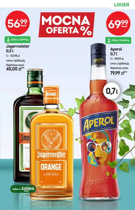 Żabka - gazetka promocyjna Katalog alkoholi od środy 29.04 do wtorku 12.05 - strona 17