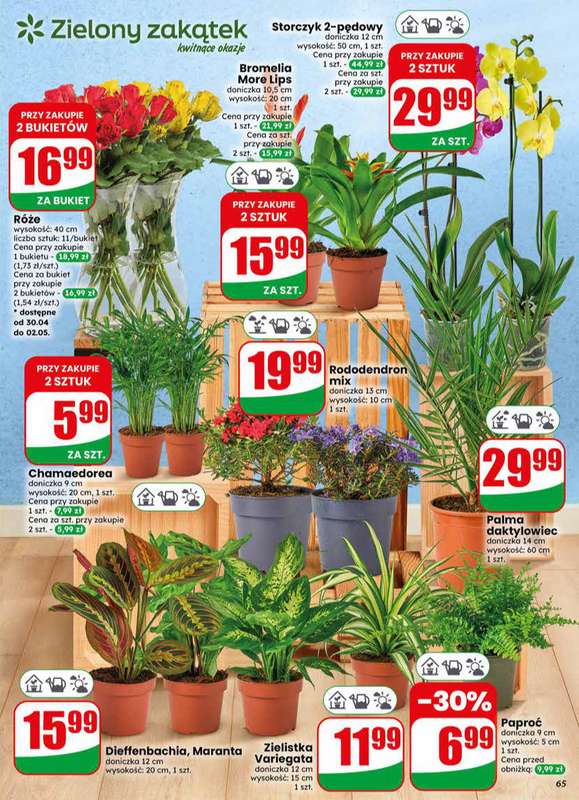 Dino - gazetka promocyjna Gazetka 18 / 2026 od środy 29.04 do wtorku 05.05 - strona 65