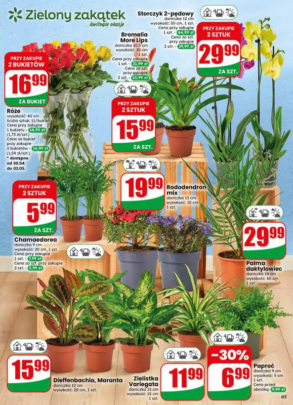 Dino - gazetka promocyjna Gazetka 18 / 2026 od środy 29.04 do wtorku 05.05 - strona 65