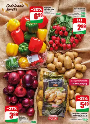 Dino - gazetka promocyjna Gazetka 18 / 2026 od środy 29.04 do wtorku 05.05 - strona 41