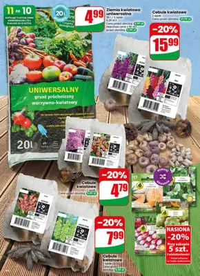 Dino - gazetka promocyjna Gazetka 18 / 2026 od środy 29.04 do wtorku 05.05 - strona 66