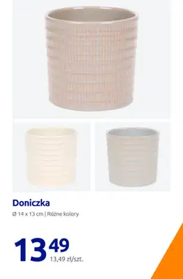 Action - gazetka promocyjna Zadbaj o swój ogród! od czwartku 30.04  - strona 11