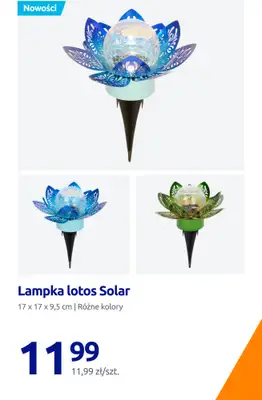 Action - gazetka promocyjna Zadbaj o swój ogród! od czwartku 30.04  - strona 9