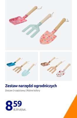 Action - gazetka promocyjna Zadbaj o swój ogród! od czwartku 30.04  - strona 6