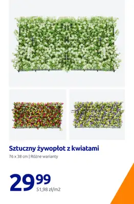 Action - gazetka promocyjna Zadbaj o swój ogród! od czwartku 30.04  - strona 12