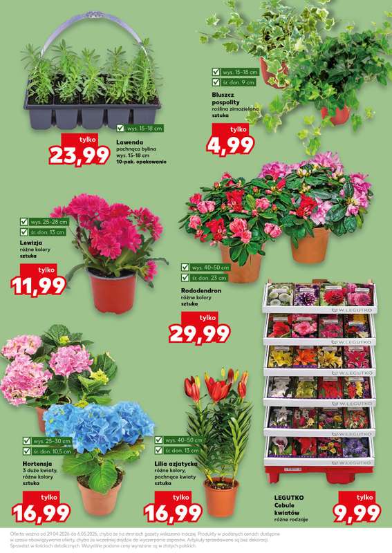 Kaufland - gazetka promocyjna Oferta Kaufland - Ogród od środy 29.04 do środy 06.05 - strona 11