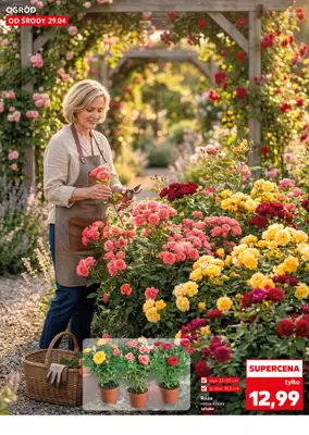 Kaufland - gazetka promocyjna Oferta Kaufland - Ogród od środy 29.04 do środy 06.05 - strona 10