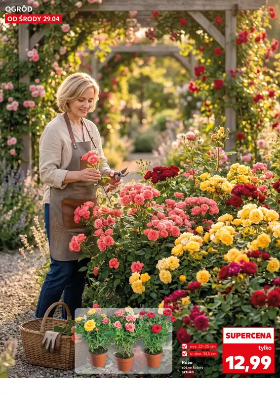 Kaufland - gazetka promocyjna Oferta Kaufland - Ogród od środy 29.04 do środy 06.05 - strona 10