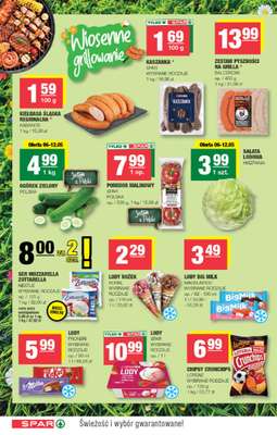 SPAR - gazetka promocyjna Gazetka Spar od środy 06.05 do niedzieli 17.05 - strona 6