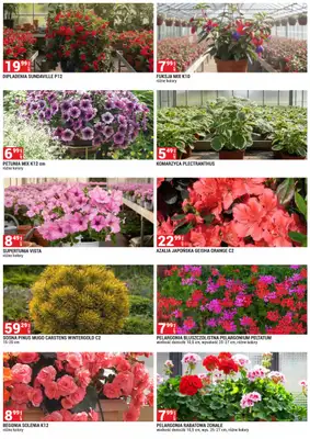 Merkury Market - gazetka promocyjna Urządź swój ogród od piątku 01.05 do niedzieli 31.05 - strona 8
