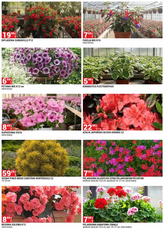 Merkury Market - gazetka promocyjna Urządź swój ogród od piątku 01.05 do niedzieli 31.05 - strona 8