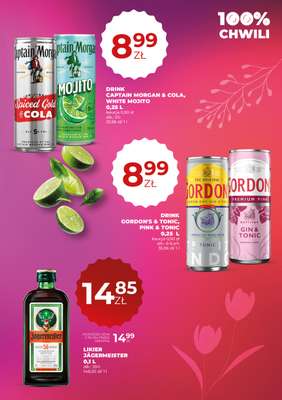 Duży Ben - gazetka promocyjna Gazetka alkoholowa od czwartku 30.04 do środy 13.05 - strona 17
