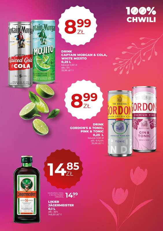 Duży Ben - gazetka promocyjna Gazetka alkoholowa od czwartku 30.04 do środy 13.05 - strona 17