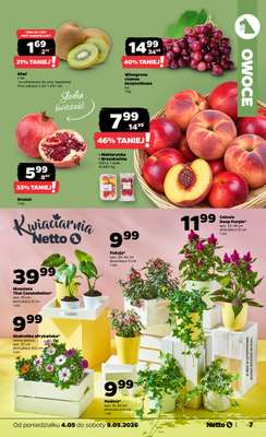 Netto - gazetka promocyjna Gazetka spożywcza od poniedziałku 04.05 do soboty 09.05 - strona 7