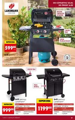 Biedronka - gazetka promocyjna Hity i inspiracje do ogrodu od poniedziałku 20.04 do środy 13.05 - strona 19