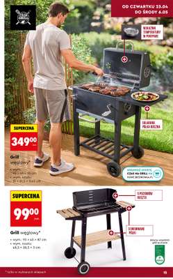 Biedronka - gazetka promocyjna Hity i inspiracje do ogrodu od poniedziałku 20.04 do środy 13.05 - strona 17