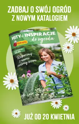 Biedronka - gazetka promocyjna Hity i inspiracje, od 18.04 od soboty 18.04 do środy 06.05 - strona 4