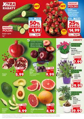 Kaufland - gazetka promocyjna Oferta Kaufland - SUPER SOBOTA od soboty 02.05 do soboty 02.05 - strona 17