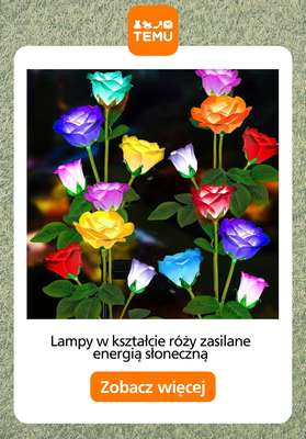 Temu - gazetka promocyjna Oświetlenie do ogrodu od piątku 01.05  - strona 7