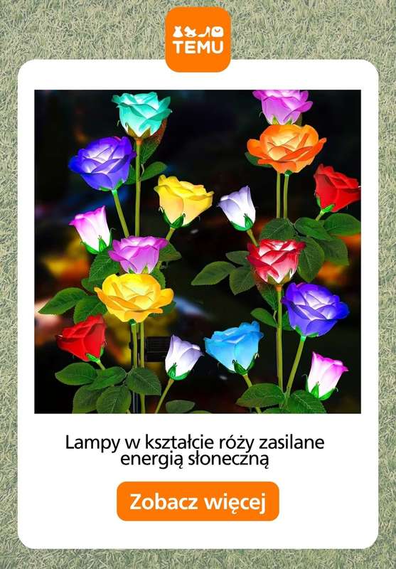 Temu - gazetka promocyjna Oświetlenie do ogrodu od piątku 01.05  - strona 7