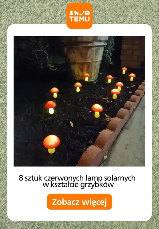Temu - gazetka promocyjna Oświetlenie do ogrodu od piątku 01.05  - strona 9