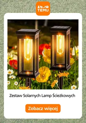 Temu - gazetka promocyjna Oświetlenie do ogrodu od piątku 01.05  - strona 12