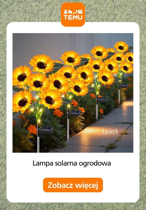 Temu - gazetka promocyjna Oświetlenie do ogrodu od piątku 01.05  - strona 10