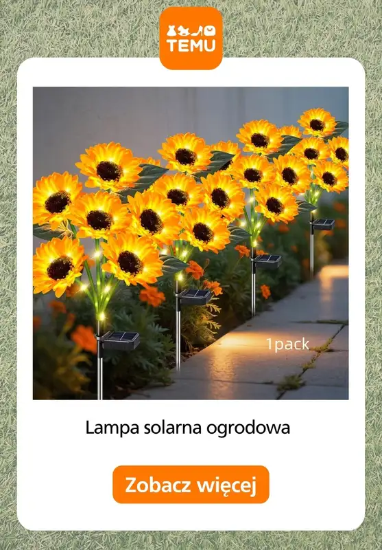 Temu - gazetka promocyjna Oświetlenie do ogrodu od piątku 01.05  - strona 10