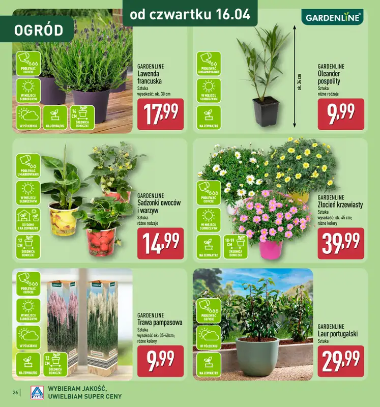 Aldi - gazetka promocyjna Katalog ogrodowy Aldi! od środy 25.02 do soboty 16.05 - strona 26