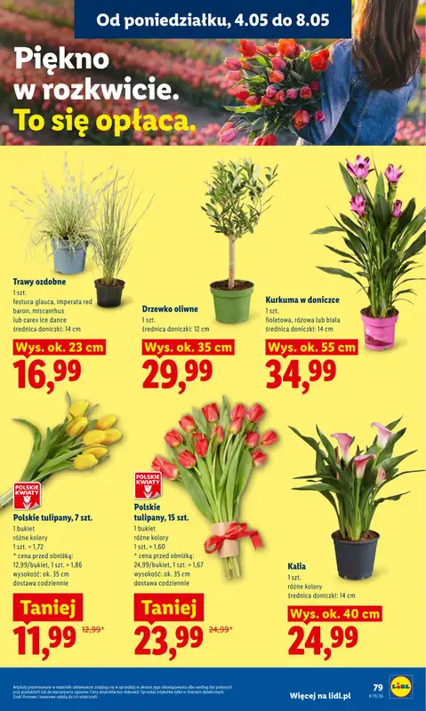 Lidl - gazetka promocyjna Oferta od poniedziałku od poniedziałku 04.05 do środy 06.05 - strona 85