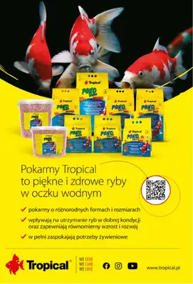 Aquael zoo - gazetka promocyjna Gazetka od poniedziałku 04.05 do niedzieli 31.05 - strona 14
