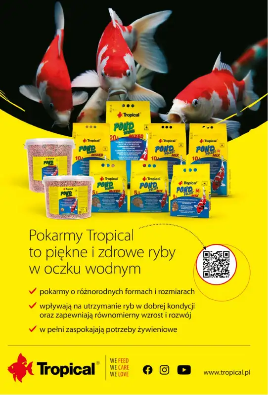 Aquael zoo - gazetka promocyjna Gazetka od poniedziałku 04.05 do niedzieli 31.05 - strona 14