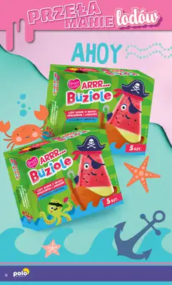 POLOmarket - gazetka promocyjna Katalog Przełamanie Lodów od poniedziałku 04.05 do środy 30.09 - strona 12