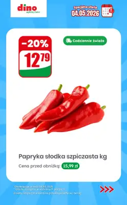 Dino - gazetka promocyjna Specjalna oferta na 04.05.2026 - promocje spoza gazetki od poniedziałku 04.05 do poniedziałku 04.05 - strona 4