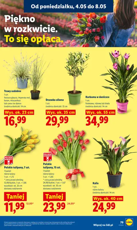 Lidl - gazetka promocyjna Oferta od poniedziałku od poniedziałku 04.05 do środy 06.05 - strona 83