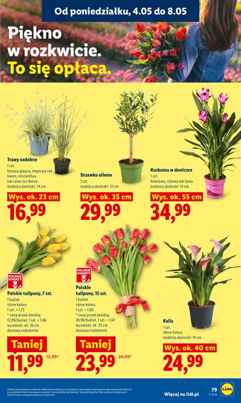 Lidl - gazetka promocyjna Oferta od poniedziałku od poniedziałku 04.05 do środy 06.05 - strona 83