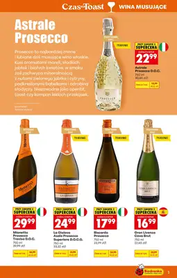 Biedronka - gazetka promocyjna Czas na Toast! od poniedziałku 04.05 do soboty 16.05 - strona 5