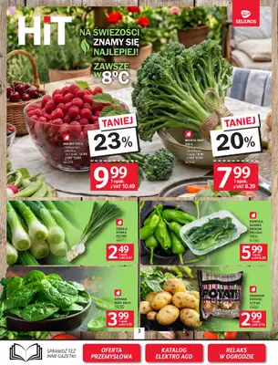 Selgros - gazetka promocyjna Oferta spożywcza od czwartku 07.05 do środy 20.05 - strona 3