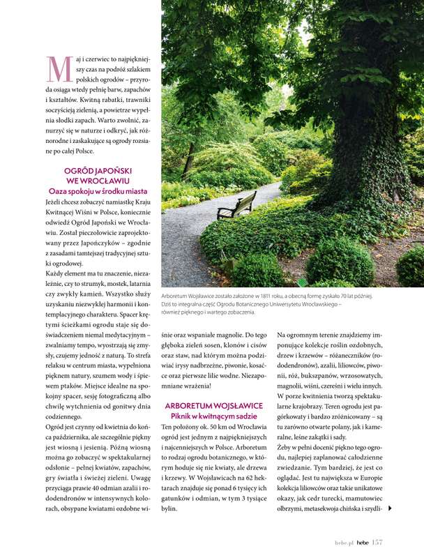 Hebe - gazetka promocyjna Magazyn od poniedziałku 04.05 do wtorku 30.06 - strona 157