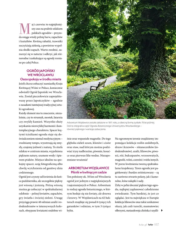 Hebe - gazetka promocyjna Magazyn od poniedziałku 04.05 do wtorku 30.06 - strona 157