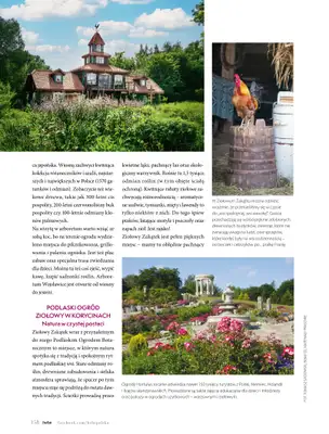 Hebe - gazetka promocyjna Magazyn od poniedziałku 04.05 do wtorku 30.06 - strona 158