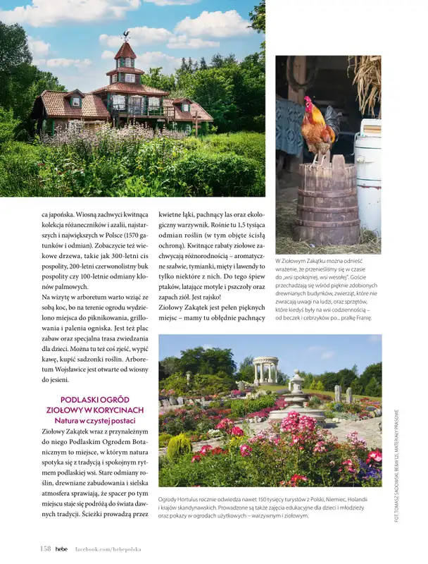 Hebe - gazetka promocyjna Magazyn od poniedziałku 04.05 do wtorku 30.06 - strona 158