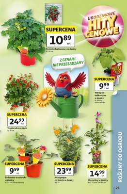 Auchan - gazetka promocyjna Gazetka 30 Lat Hipermarket Auchan od czwartku 07.05 do środy 13.05 - strona 23