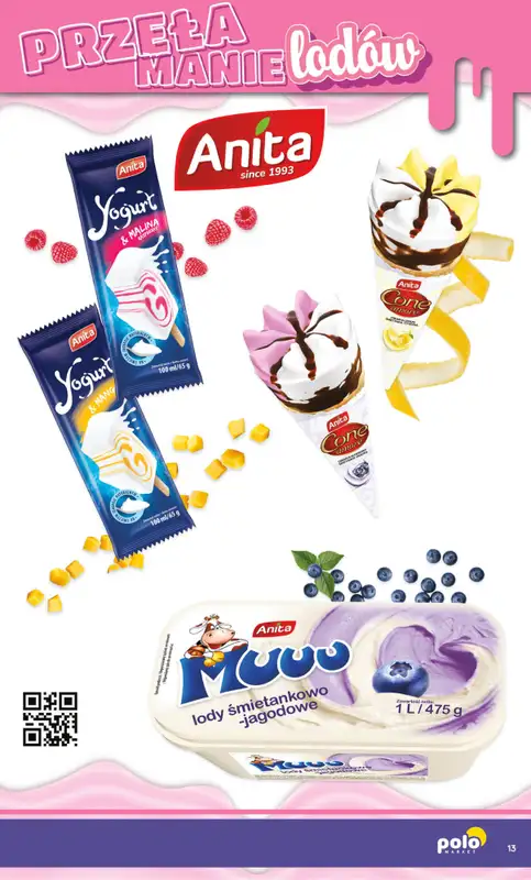 POLOmarket - gazetka promocyjna Katalog Przełamanie Lodów od poniedziałku 04.05 do środy 30.09 - strona 13